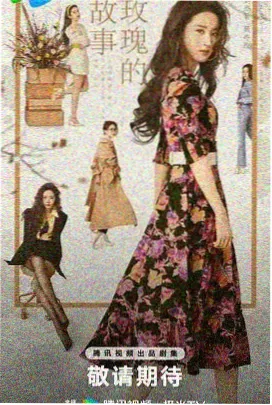 南方有乔木巷 家庭年代剧在线看
